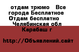 отдам трюмо - Все города Бесплатное » Отдам бесплатно   . Челябинская обл.,Карабаш г.